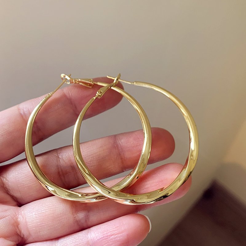 Exaggerated large circle earrings with elegant temperament, women's light luxury, niche high-end feeling, 2024 new popular circle earrings, unique